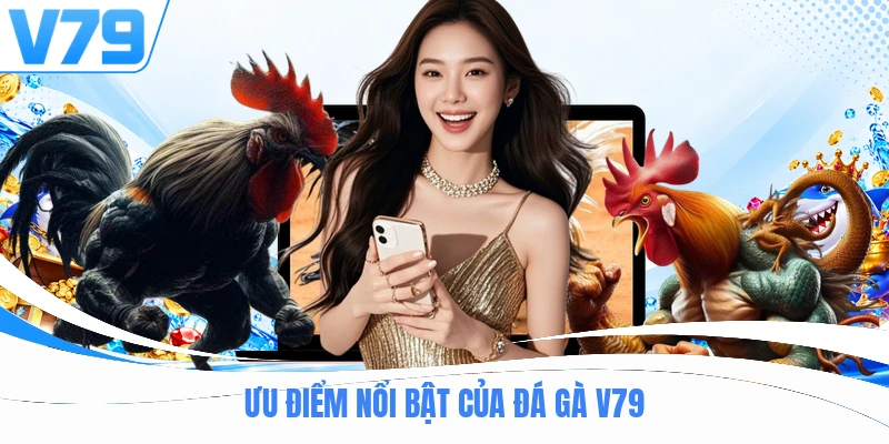 Ưu điểm nổi bật của đá gà V79
